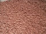 brick chips