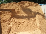kelly sand